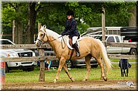 4H-FUN-060813-0611.jpg