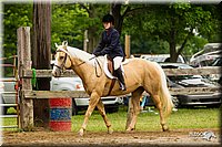 4H-FUN-060813-0612.jpg