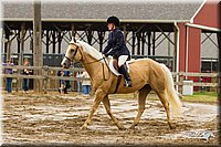 4H-FUN-060813-0625.jpg