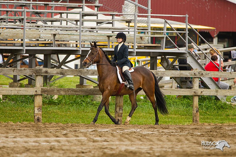 4H-FUN-060813-0748.jpg