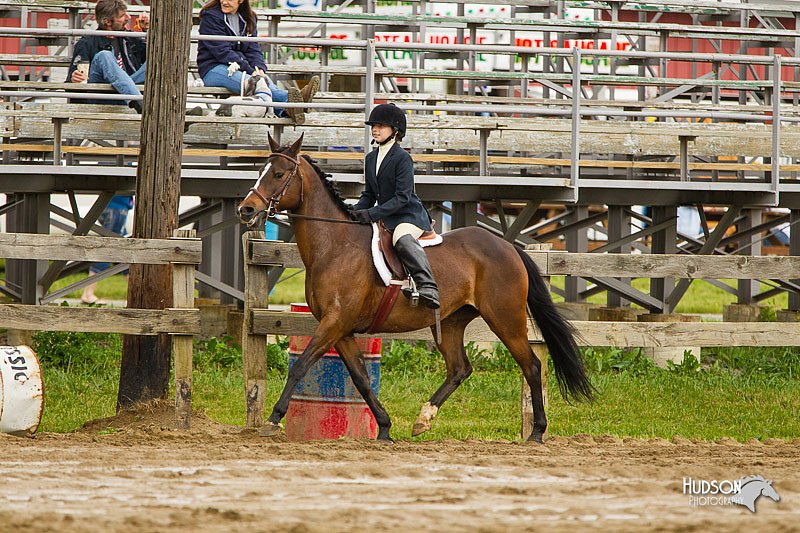 4H-FUN-060813-0749.jpg