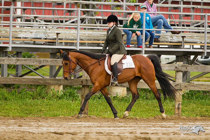 4H-FUN-060813-0751.jpg