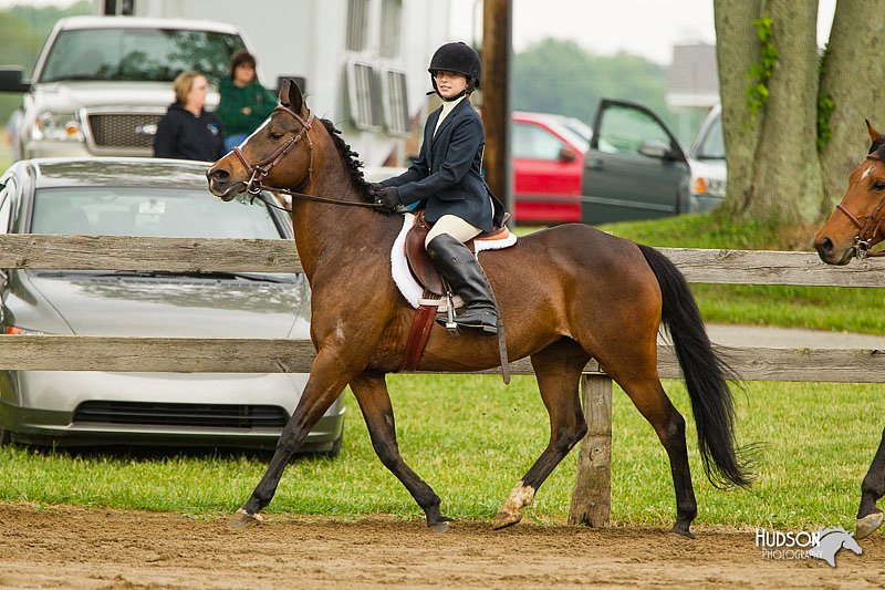 4H-FUN-060813-0752.jpg