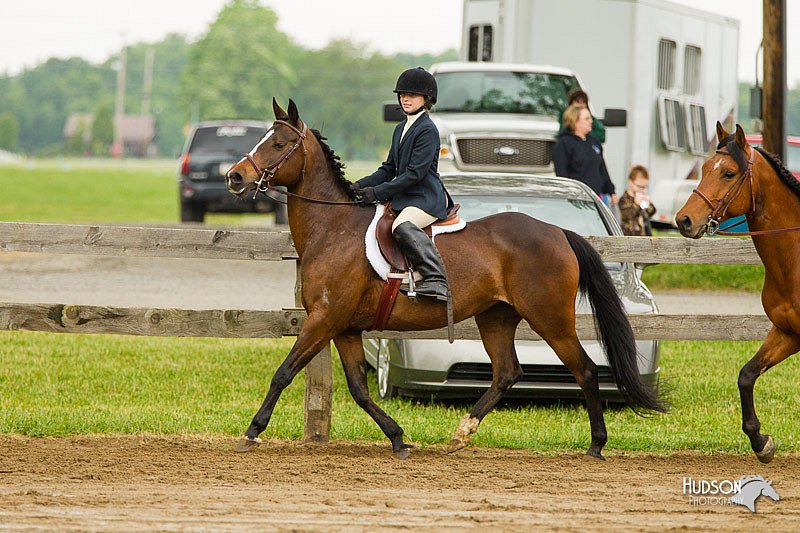 4H-FUN-060813-0753.jpg