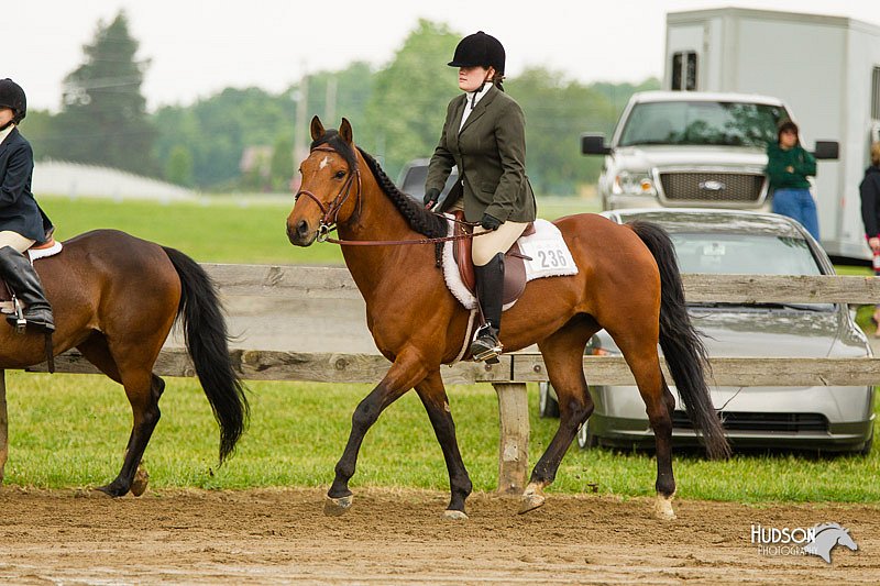4H-FUN-060813-0754.jpg