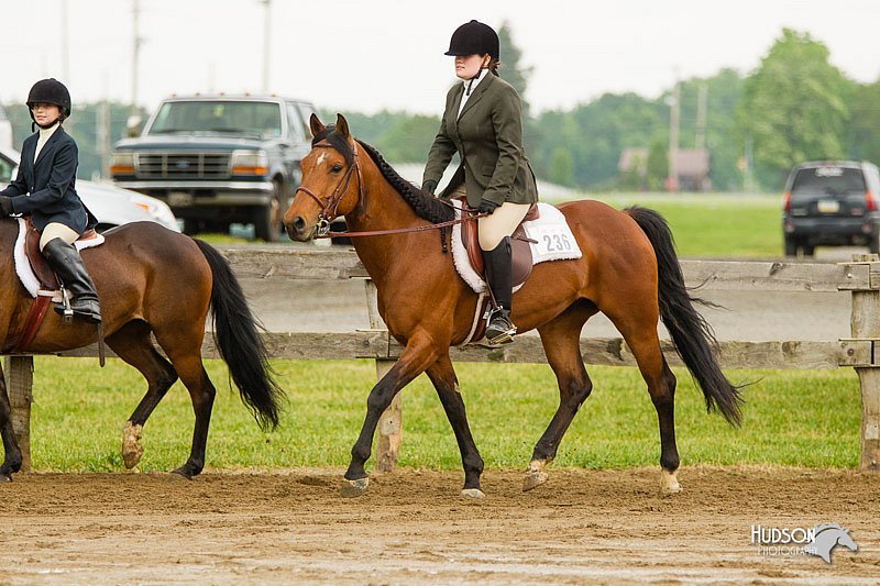 4H-FUN-060813-0755.jpg