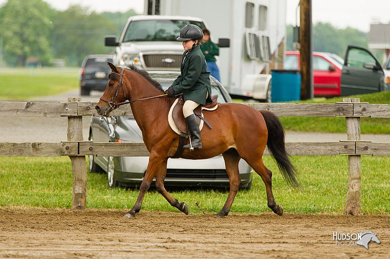 4H-FUN-060813-0756.jpg