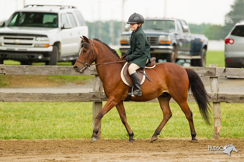 4H-FUN-060813-0757.jpg