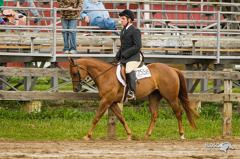 4H-FUN-060813-0760.jpg
