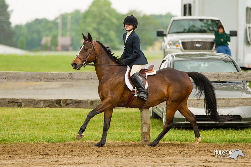 4H-FUN-060813-0761.jpg