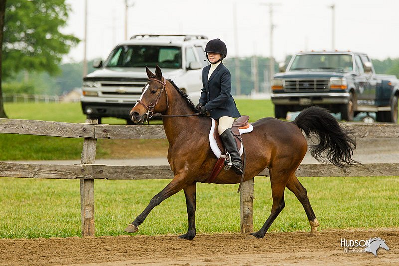 4H-FUN-060813-0762.jpg