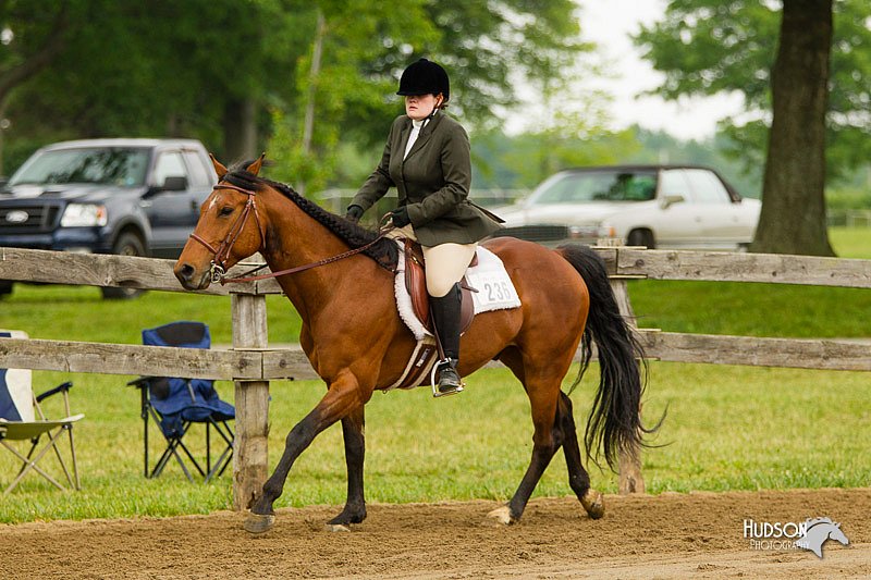 4H-FUN-060813-0764.jpg