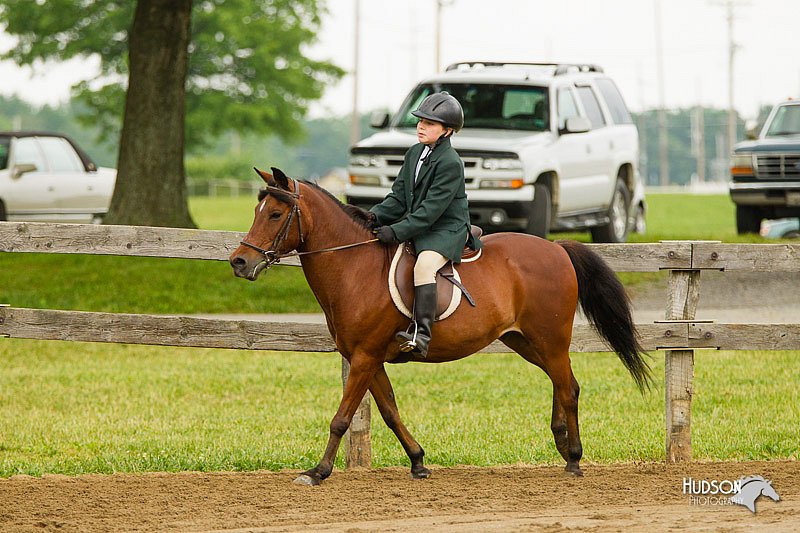 4H-FUN-060813-0765.jpg