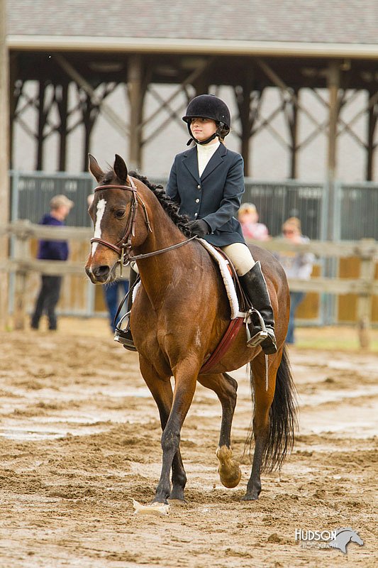 4H-FUN-060813-0768.jpg