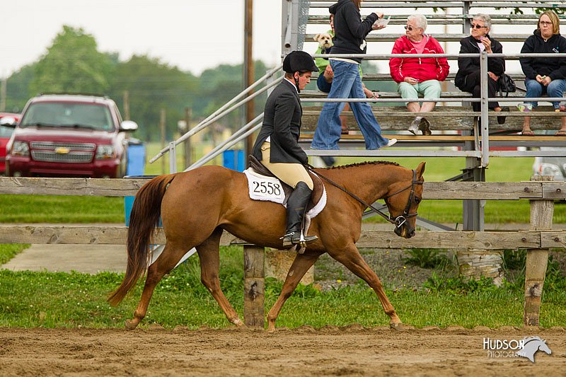 4H-FUN-060813-0771.jpg
