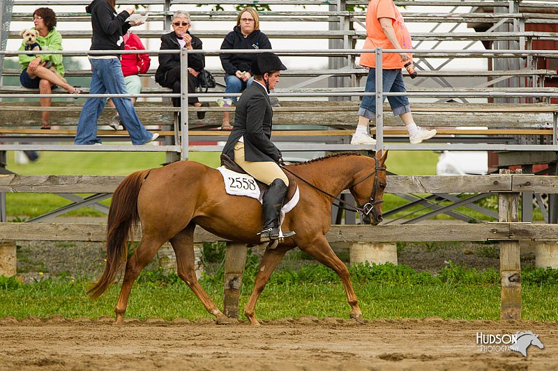 4H-FUN-060813-0772.jpg