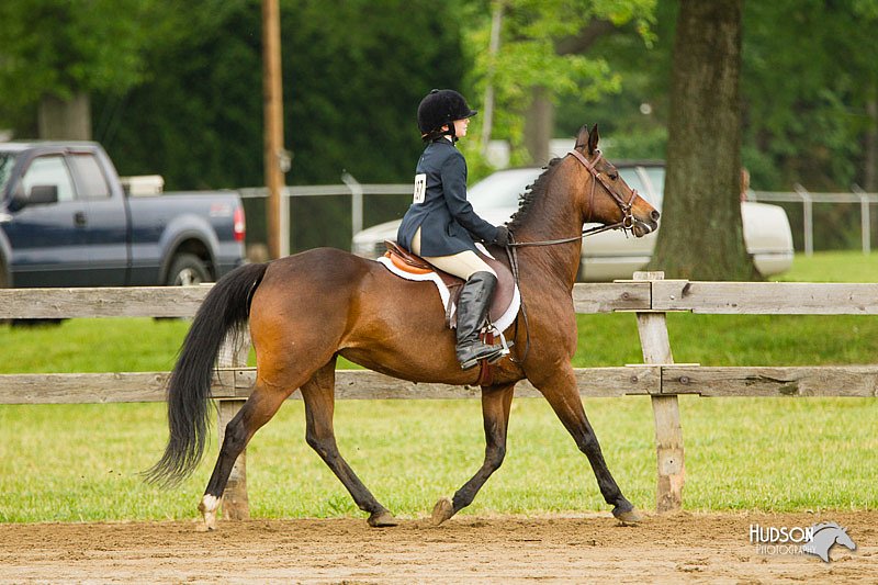 4H-FUN-060813-0773.jpg