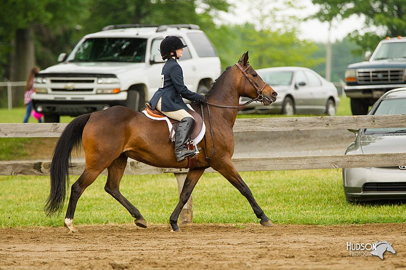 4H-FUN-060813-0774.jpg