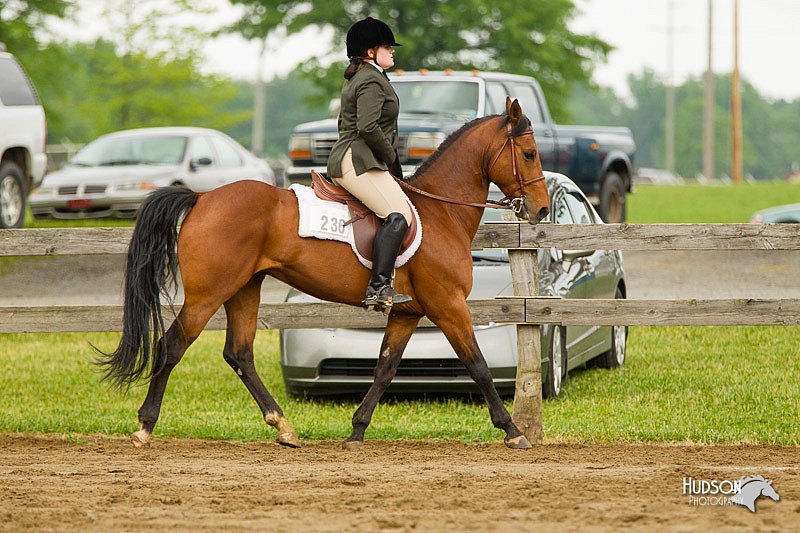 4H-FUN-060813-0775.jpg