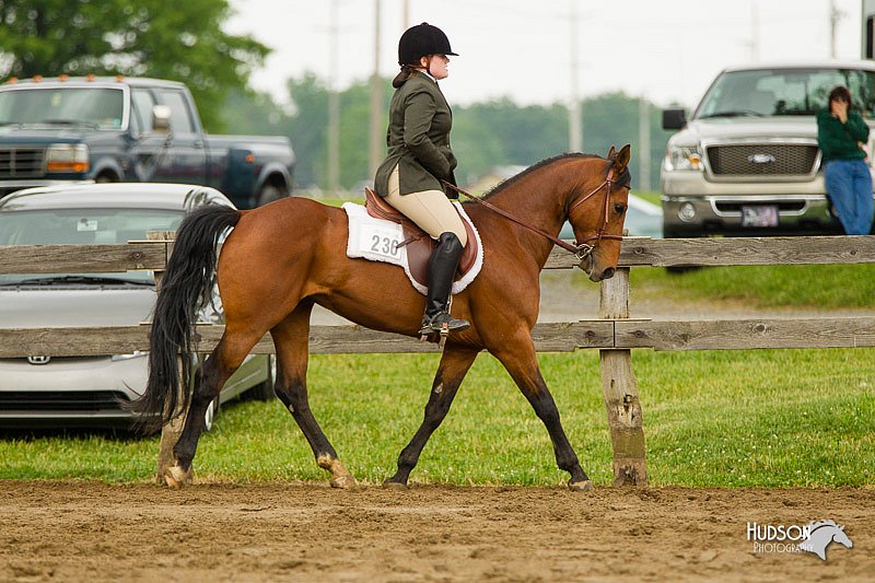 4H-FUN-060813-0776.jpg