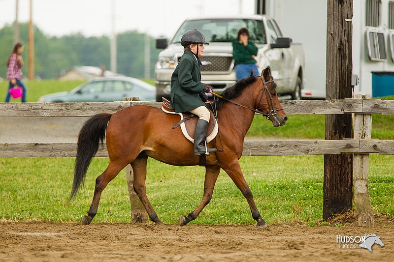 4H-FUN-060813-0777.jpg