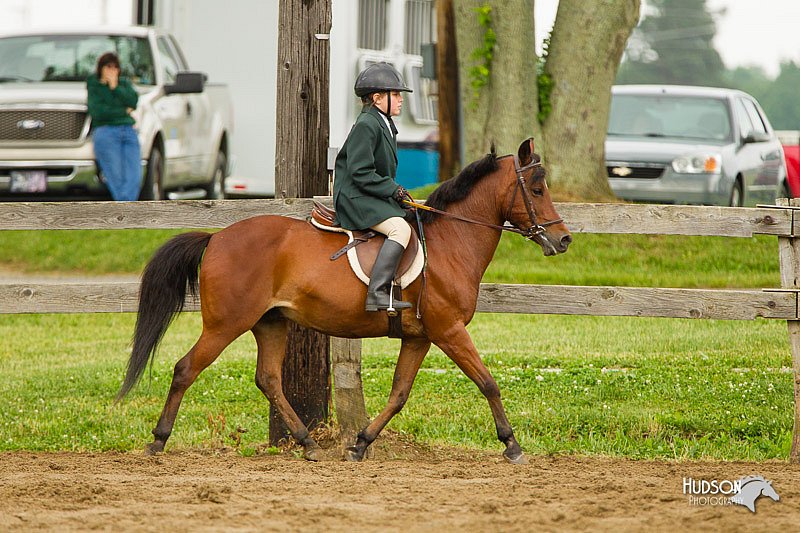 4H-FUN-060813-0778.jpg