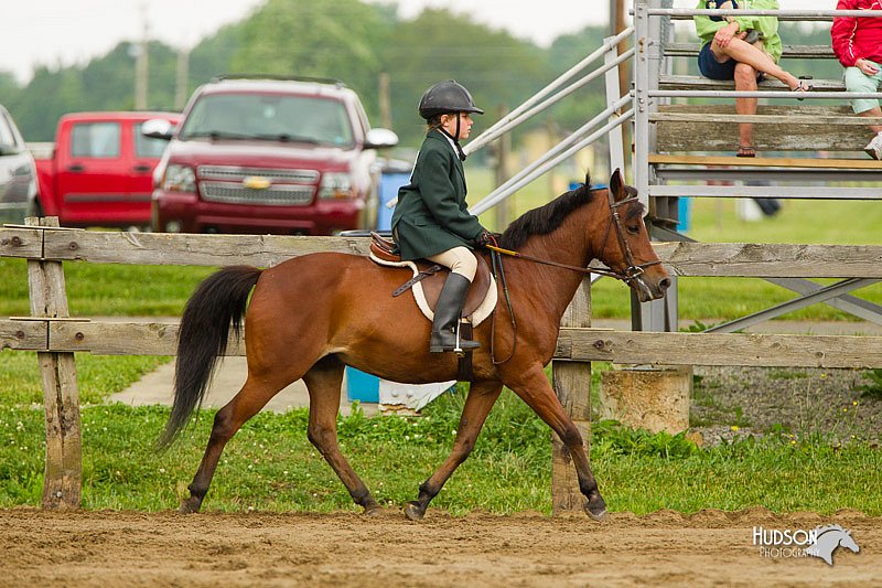 4H-FUN-060813-0779.jpg