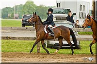 4H-FUN-060813-0753.jpg