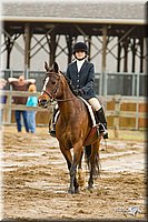 4H-FUN-060813-0767.jpg