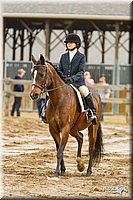 4H-FUN-060813-0768.jpg