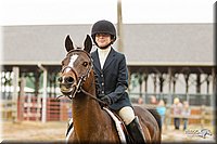 4H-FUN-060813-0770.jpg