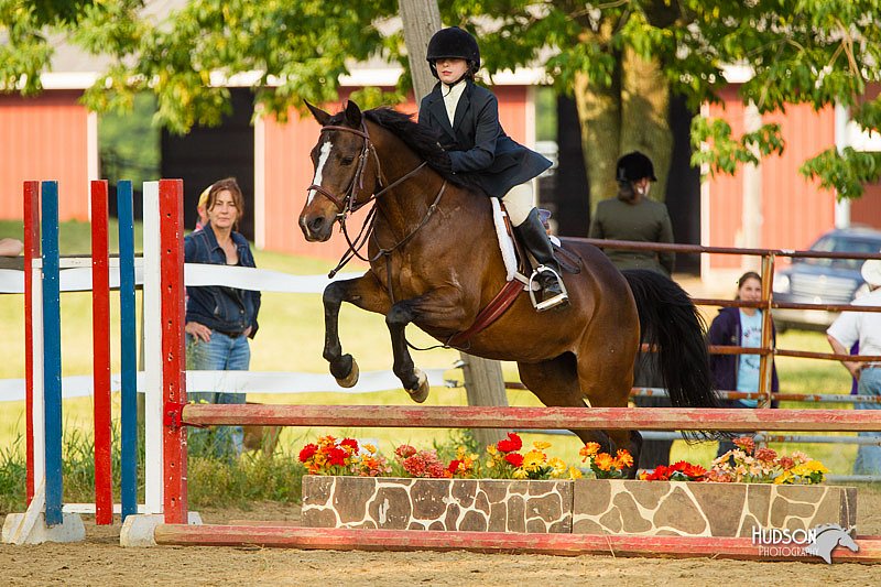 4H-FUN-060813-1433.jpg