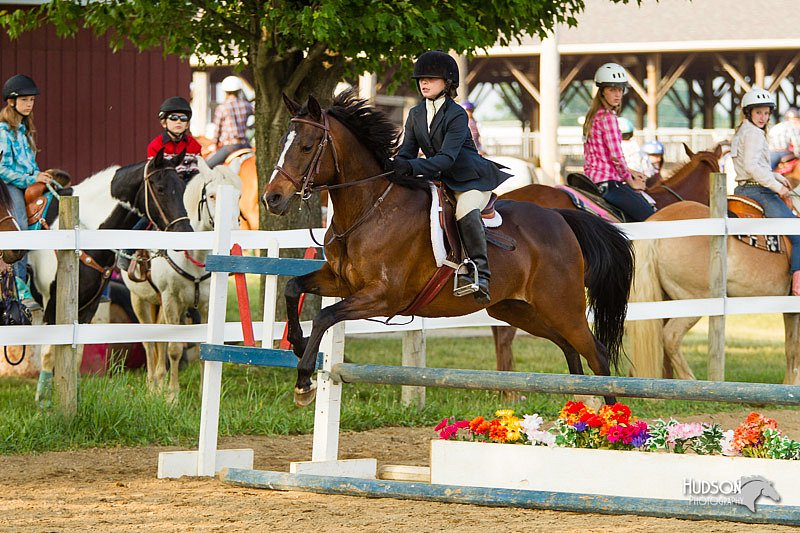 4H-FUN-060813-1434.jpg