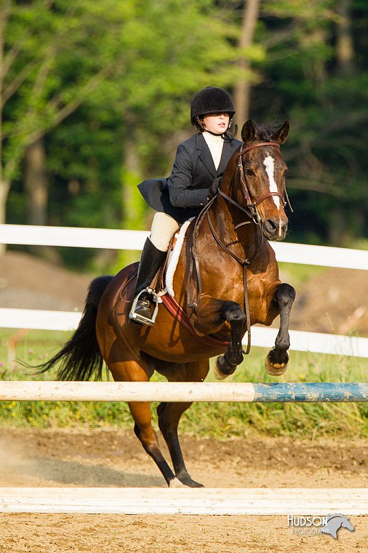 4H-FUN-060813-1436.jpg