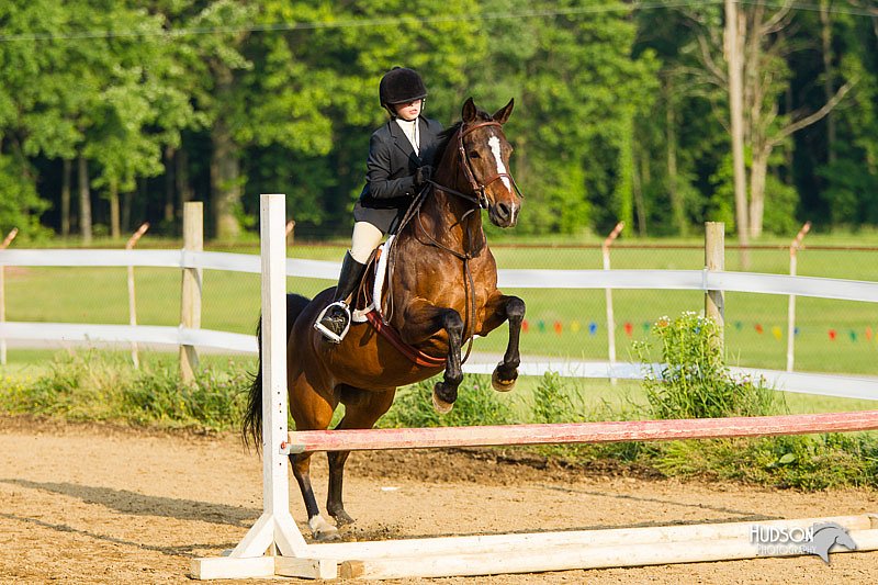 4H-FUN-060813-1437.jpg