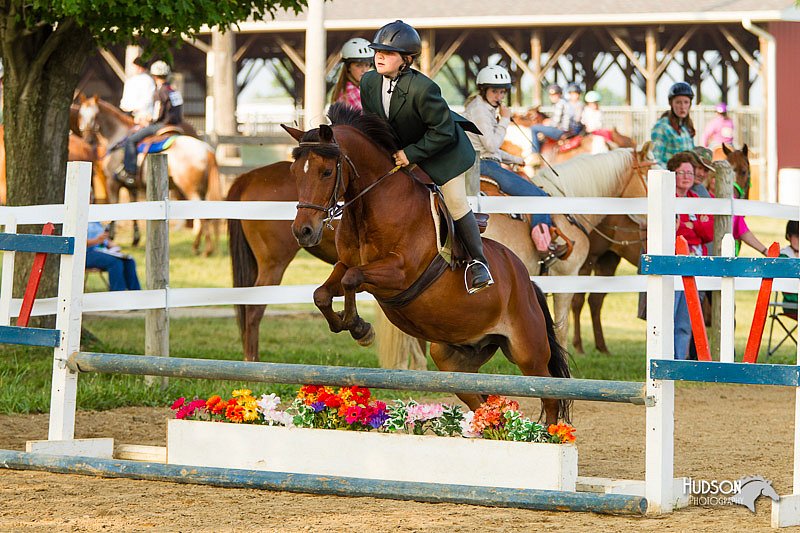 4H-FUN-060813-1439.jpg