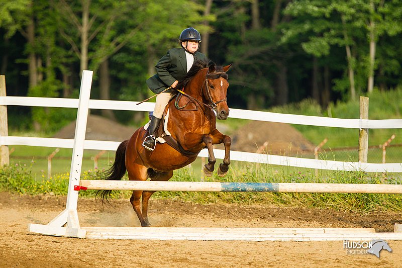 4H-FUN-060813-1442.jpg