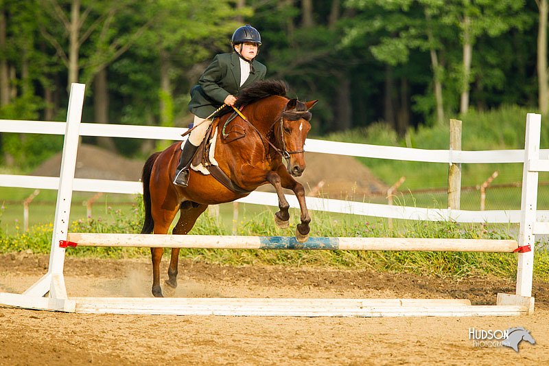 4H-FUN-060813-1443.jpg