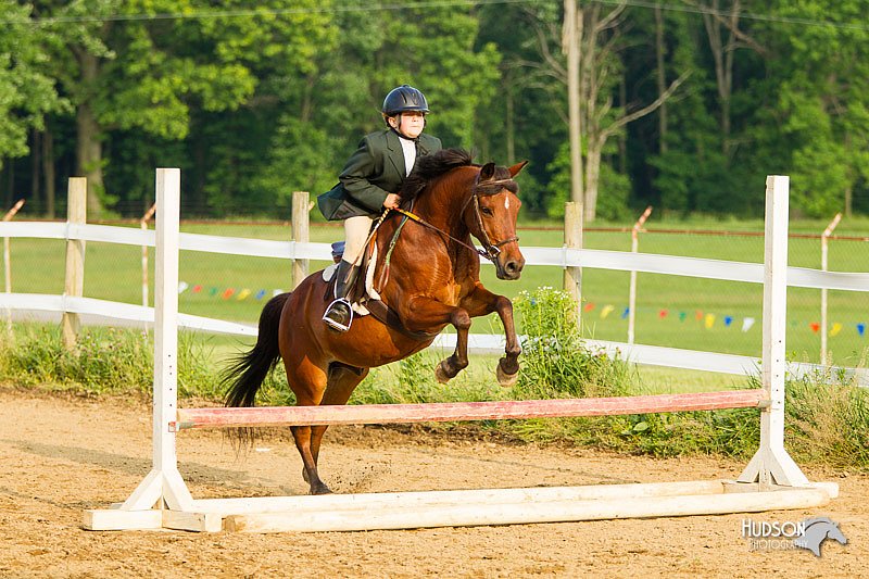 4H-FUN-060813-1444.jpg