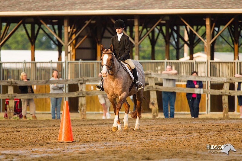 4H-FUN-060813-1679.jpg