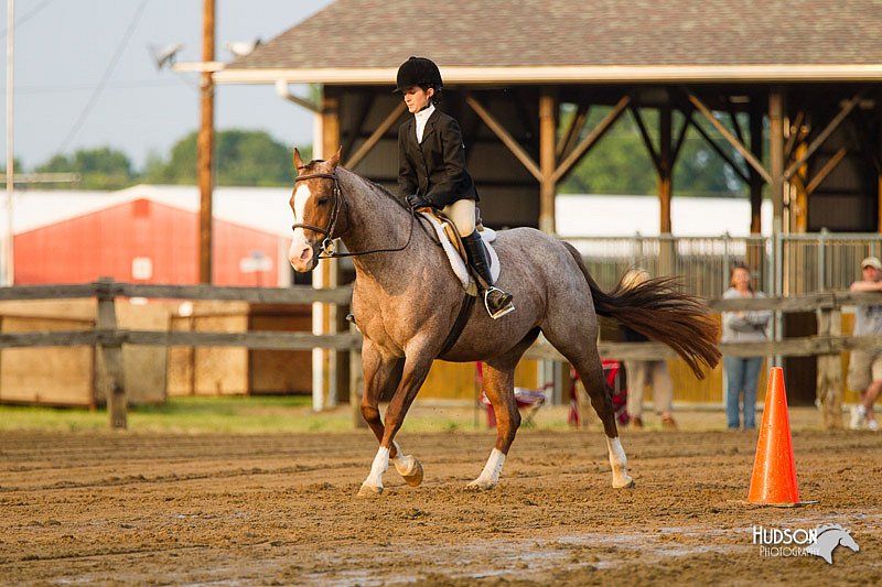 4H-FUN-060813-1680.jpg