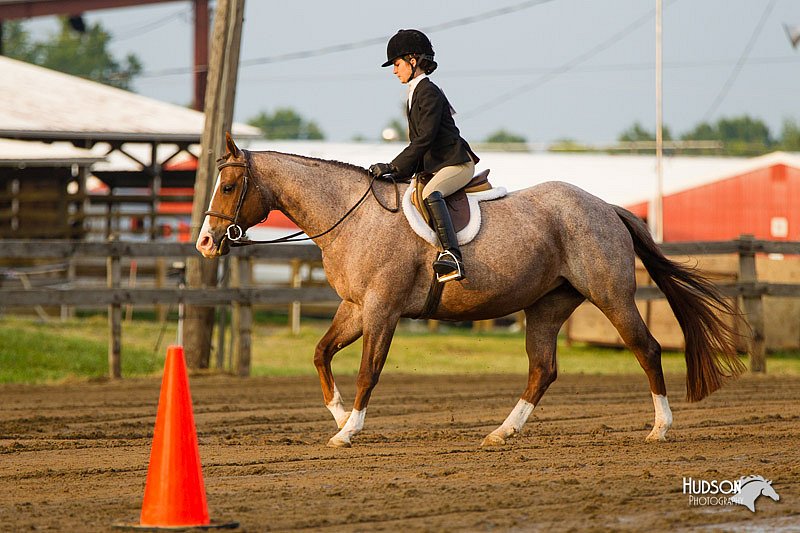 4H-FUN-060813-1681.jpg