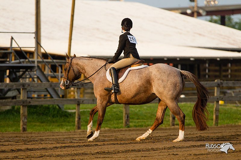4H-FUN-060813-1682.jpg