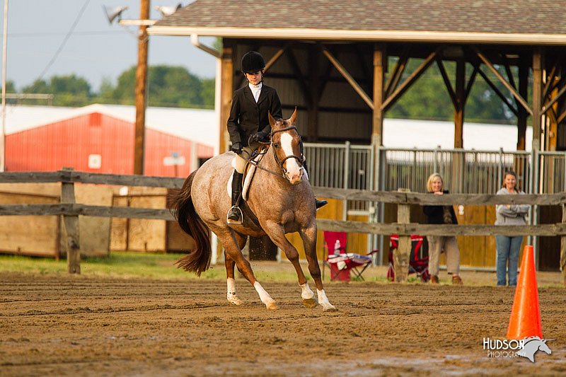 4H-FUN-060813-1683.jpg