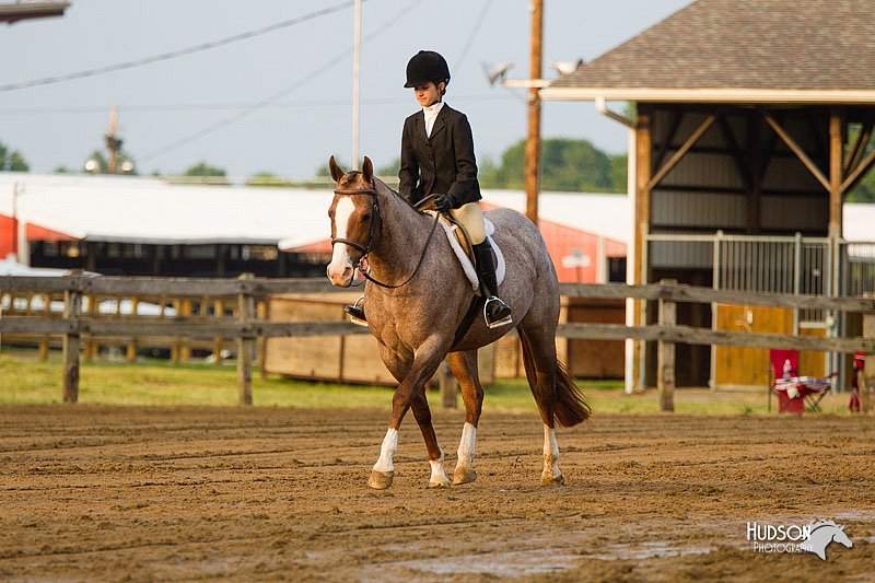 4H-FUN-060813-1684.jpg