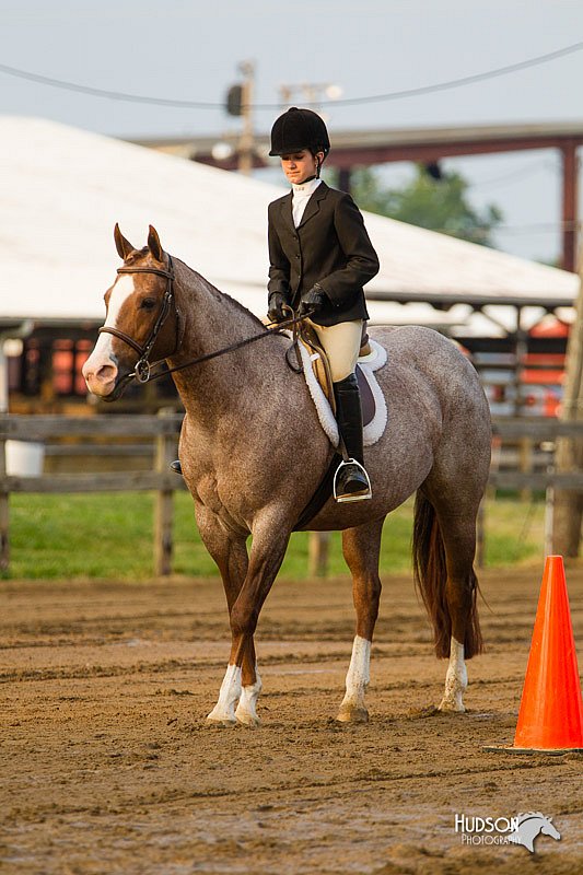 4H-FUN-060813-1685.jpg
