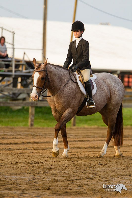 4H-FUN-060813-1686.jpg