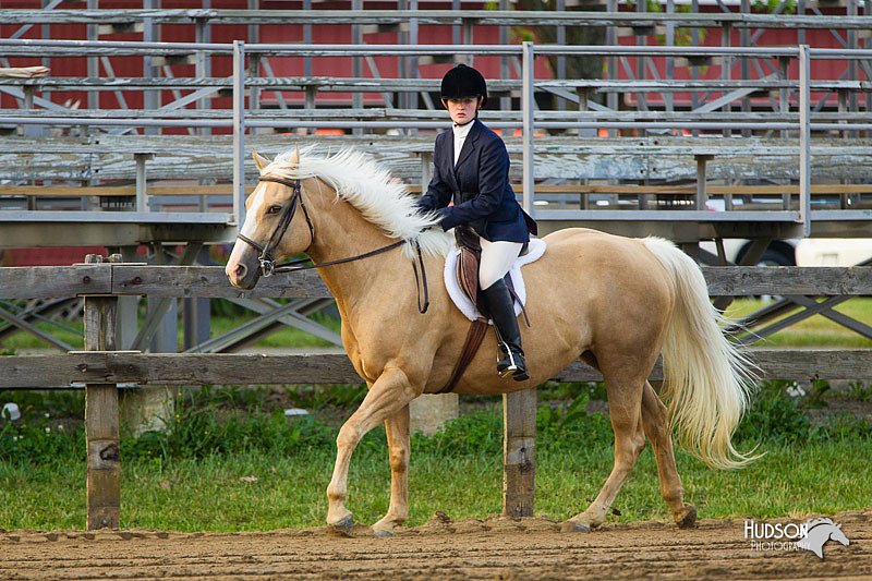 4H-FUN-060813-1645.jpg