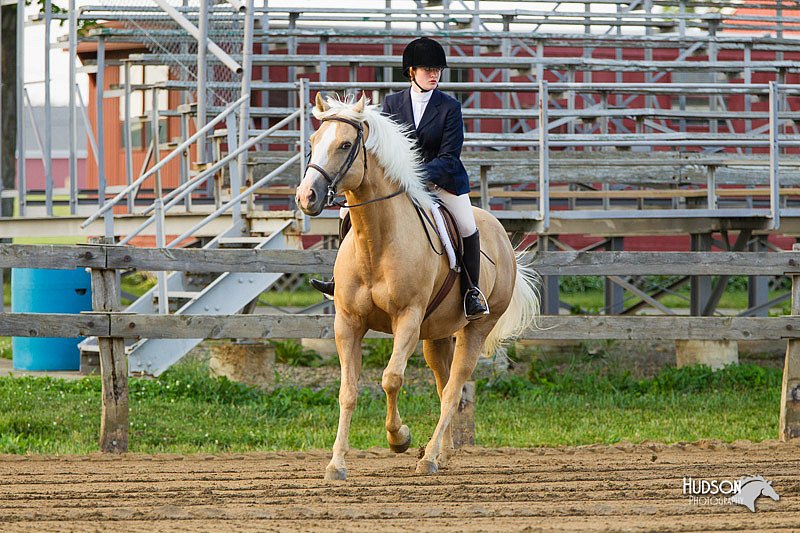 4H-FUN-060813-1646.jpg
