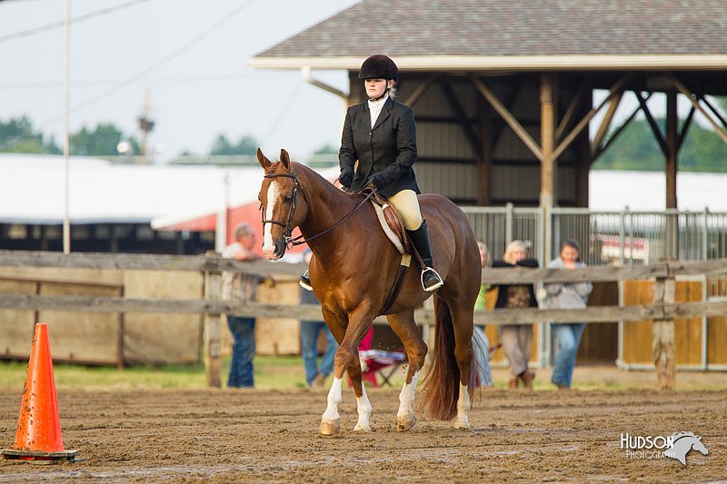 4H-FUN-060813-1652.jpg